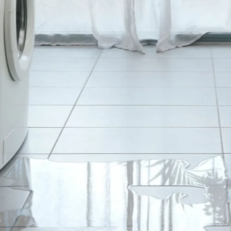 Appliance Leak Cleanup in Pike County, IL