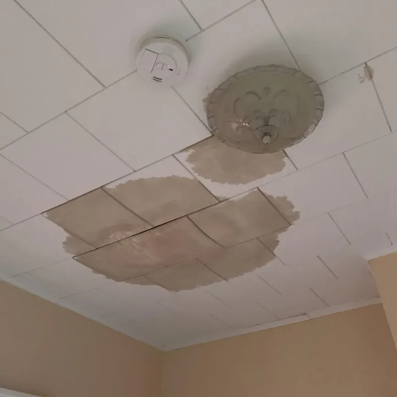 Ceiling Water Damage Repair in Pike County, IL
