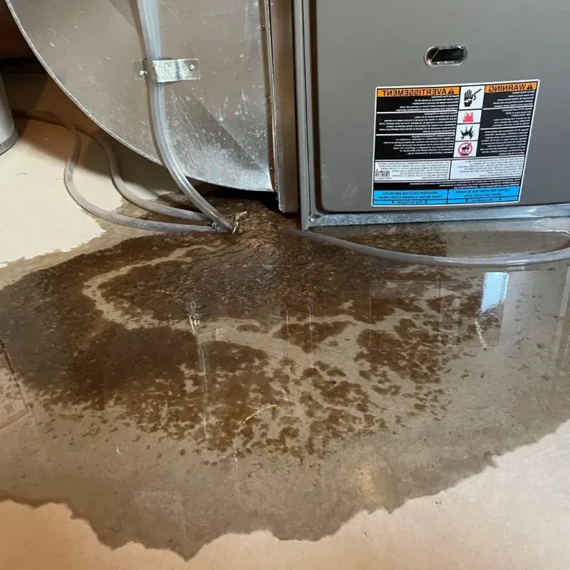 Pipe Burst and Leak Restoration in Pike County, IL