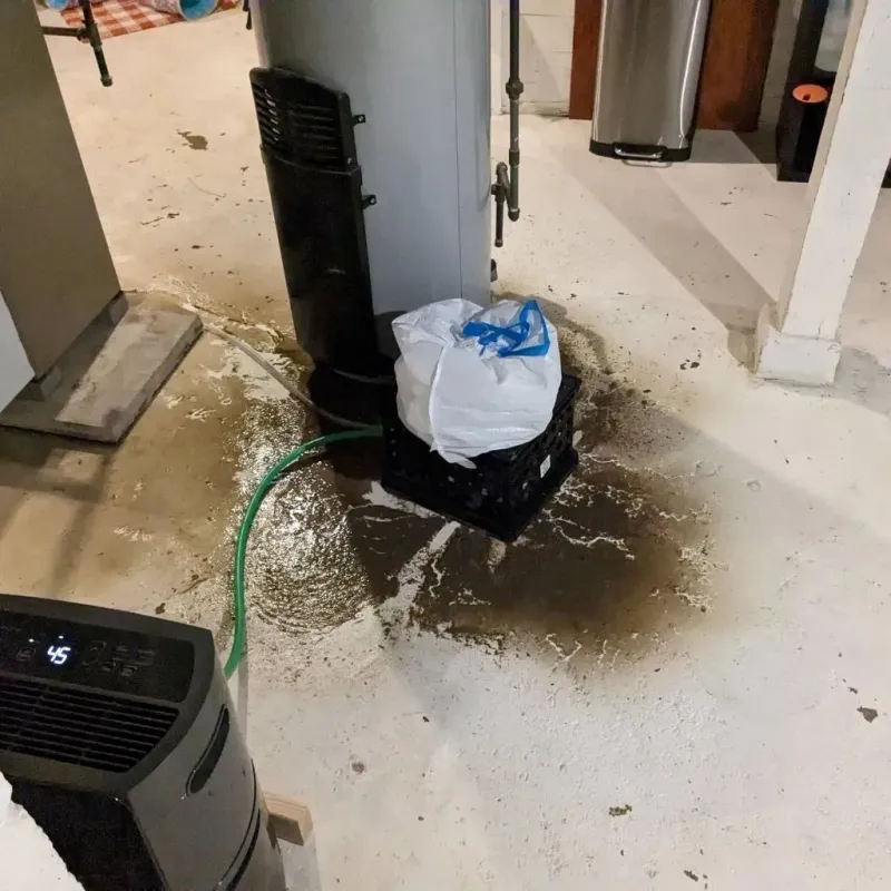 Sewage Backup Cleanup Service in Pike County, IL